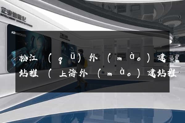 松江區(qū)外貿(mào)建站推廣(上海外貿(mào)建站推廣公司)