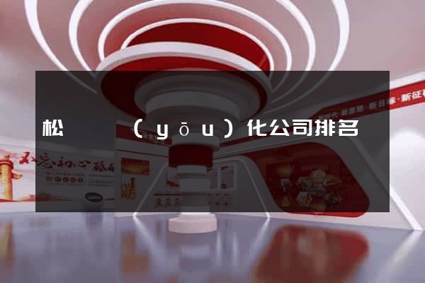 松陽縣優(yōu)化公司排名