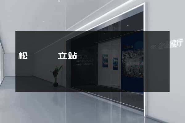 松陽縣獨立站運營