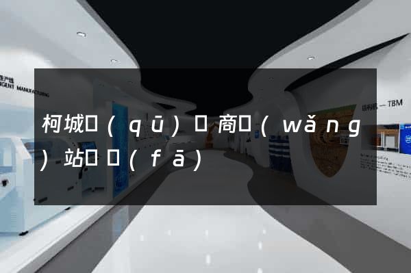 柯城區(qū)電商網(wǎng)站開發(fā)