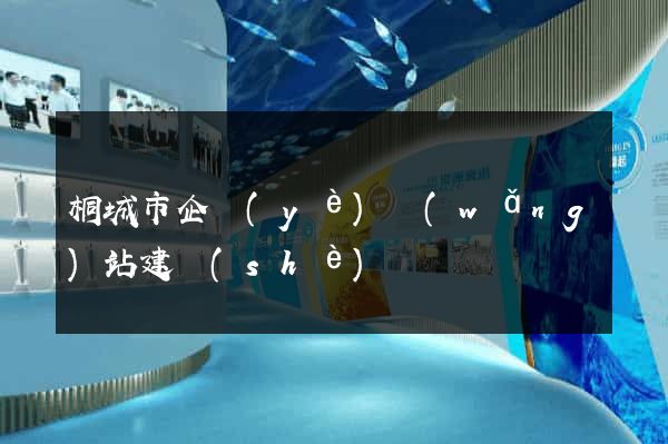 桐城市企業(yè)網(wǎng)站建設(shè)
