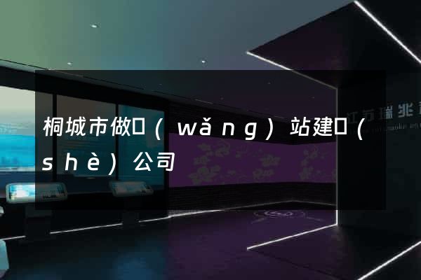 桐城市做網(wǎng)站建設(shè)公司