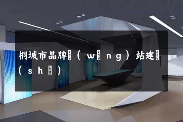 桐城市品牌網(wǎng)站建設(shè)