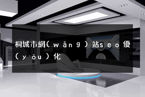 桐城市網(wǎng)站seo優(yōu)化