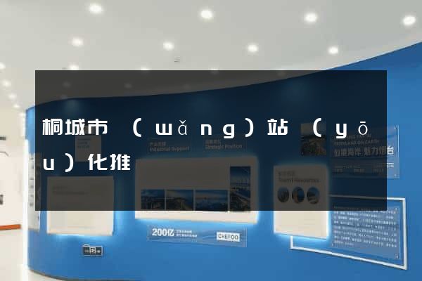 桐城市網(wǎng)站優(yōu)化推廣