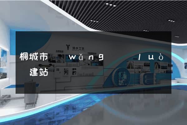桐城市網(wǎng)絡(luò)建站