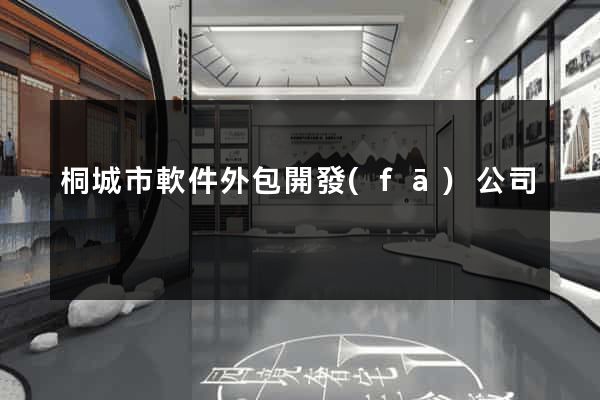 桐城市軟件外包開發(fā)公司