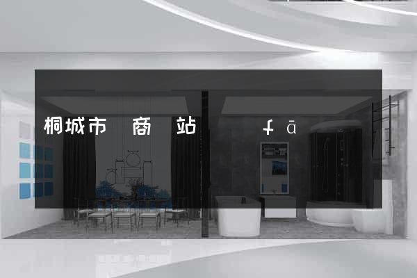 桐城市電商網站開發(fā)