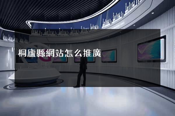 桐廬縣網站怎么推廣