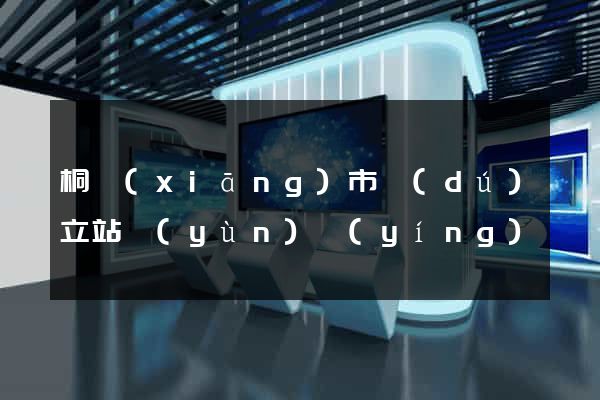 桐鄉(xiāng)市獨(dú)立站運(yùn)營(yíng)