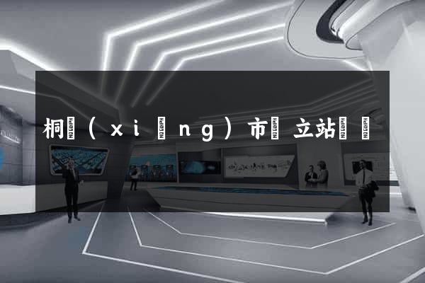 桐鄉(xiāng)市獨立站運營