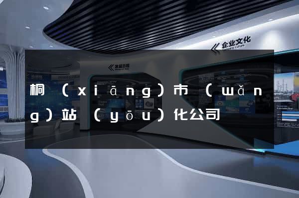 桐鄉(xiāng)市網(wǎng)站優(yōu)化公司