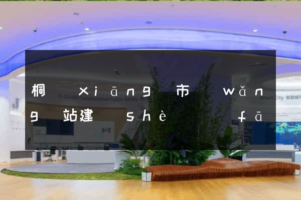 桐鄉(xiāng)市網(wǎng)站建設(shè)開發(fā)
