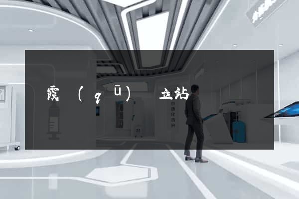 棲霞區(qū)獨立站運營