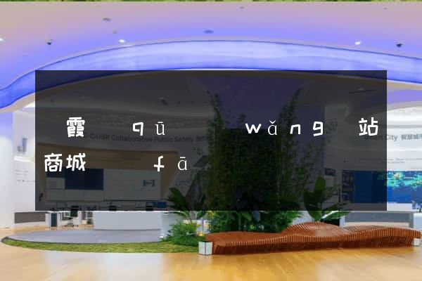 棲霞區(qū)網(wǎng)站商城開發(fā)