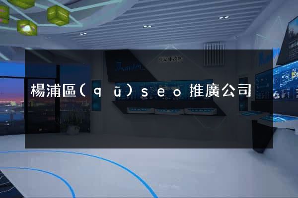 楊浦區(qū)seo推廣公司