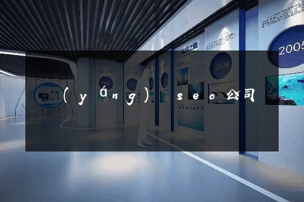 樅陽(yáng)縣seo公司