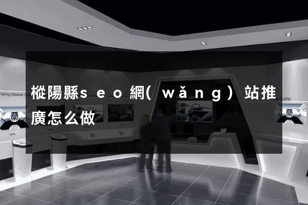 樅陽縣seo網(wǎng)站推廣怎么做