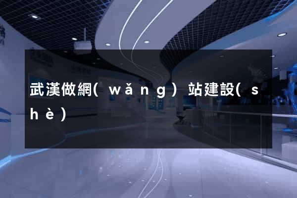 武漢做網(wǎng)站建設(shè)