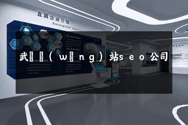 武漢網(wǎng)站seo公司