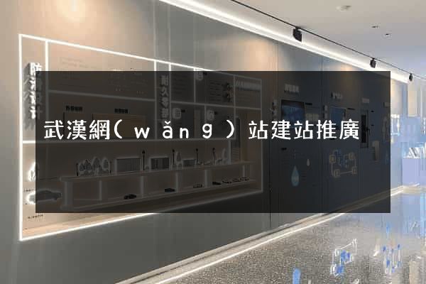 武漢網(wǎng)站建站推廣
