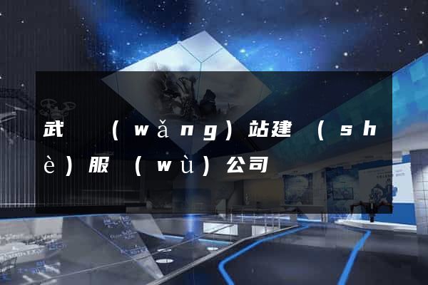 武漢網(wǎng)站建設(shè)服務(wù)公司