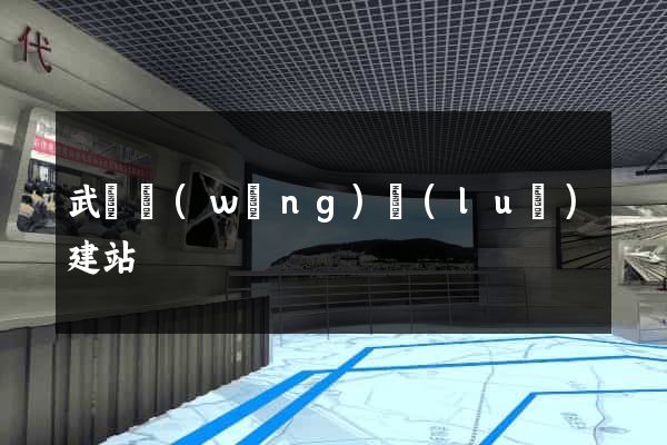 武漢網(wǎng)絡(luò)建站