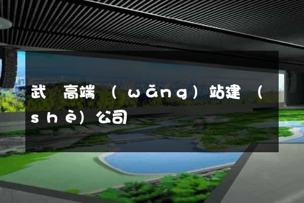 武漢高端網(wǎng)站建設(shè)公司