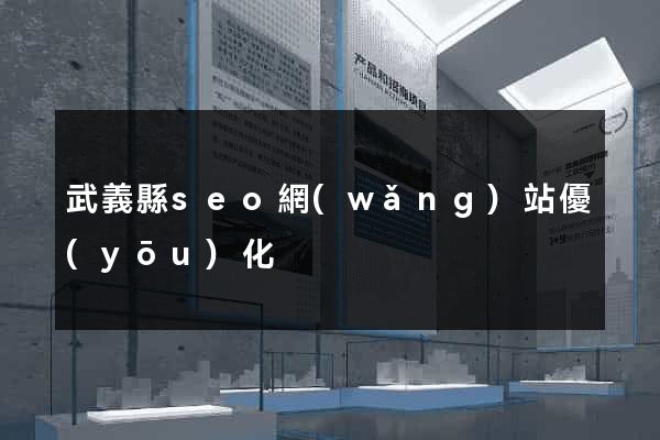 武義縣seo網(wǎng)站優(yōu)化
