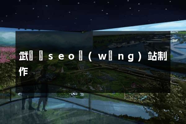武義縣seo網(wǎng)站制作