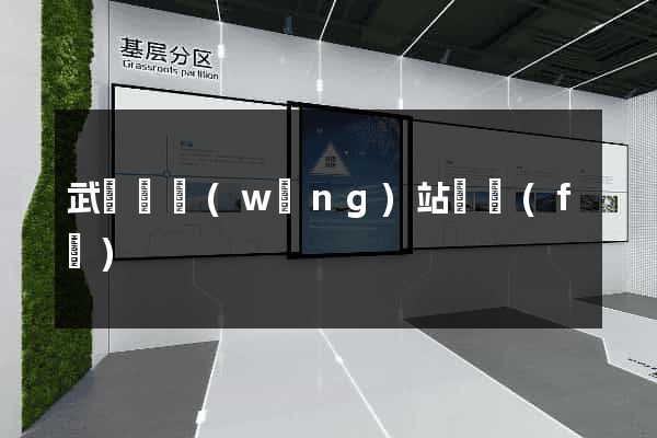 武義縣網(wǎng)站開發(fā)
