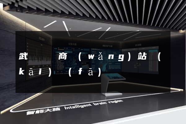 武義縣電商網(wǎng)站開(kāi)發(fā)