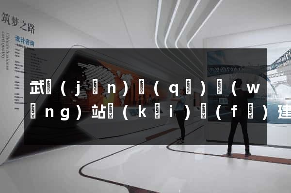 武進(jìn)區(qū)網(wǎng)站開(kāi)發(fā)建站