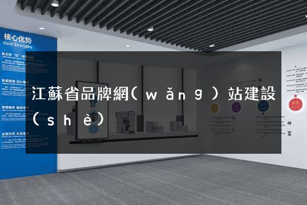 江蘇省品牌網(wǎng)站建設(shè)