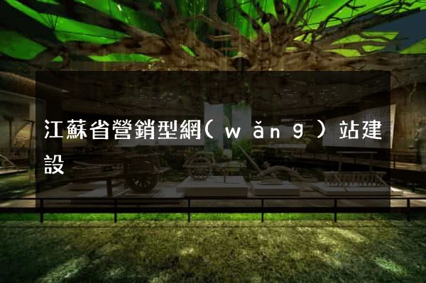 江蘇省營銷型網(wǎng)站建設