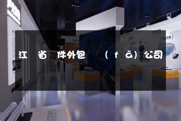 江蘇省軟件外包開發(fā)公司