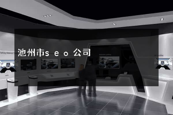 池州市seo公司
