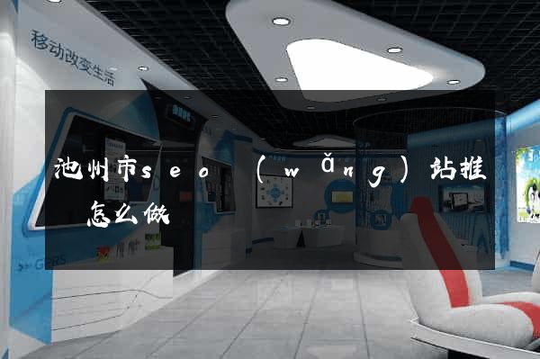 池州市seo網(wǎng)站推廣怎么做