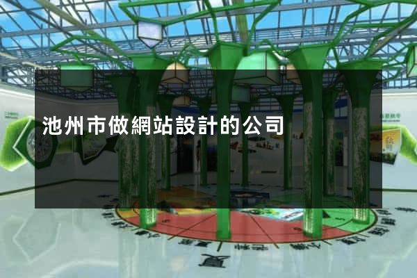 池州市做網站設計的公司