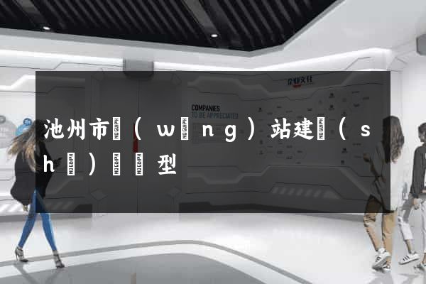 池州市網(wǎng)站建設(shè)營銷型