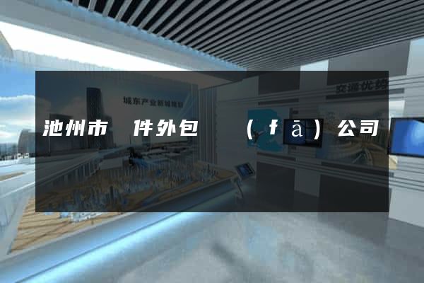 池州市軟件外包開發(fā)公司