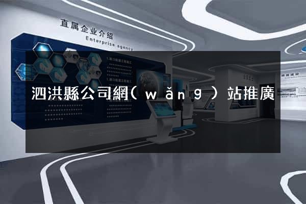 泗洪縣公司網(wǎng)站推廣