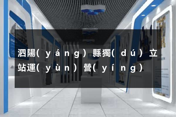 泗陽(yáng)縣獨(dú)立站運(yùn)營(yíng)