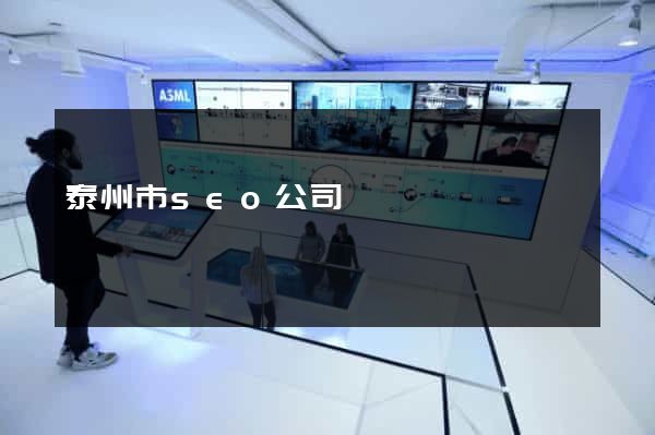 泰州市seo公司