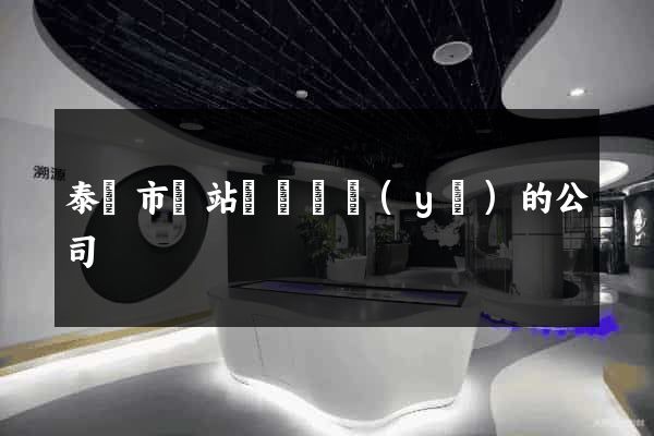 泰興市網站設計專業(yè)的公司