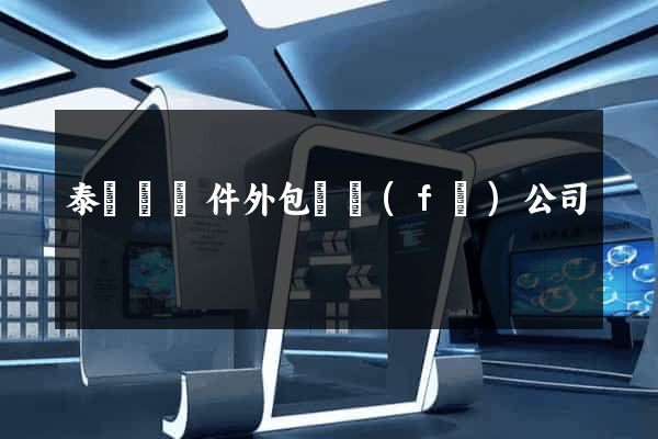 泰順縣軟件外包開發(fā)公司