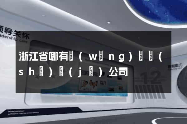 浙江省哪有網(wǎng)頁設(shè)計(jì)公司