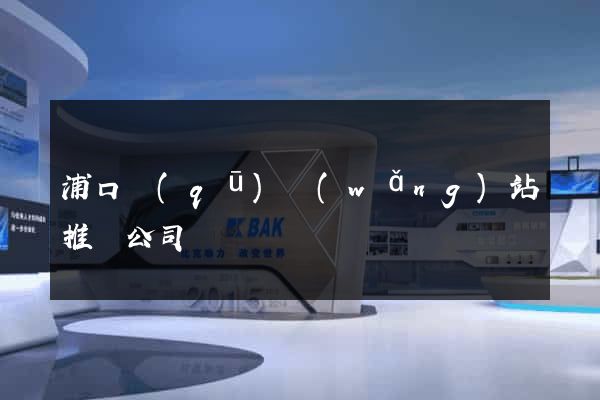 浦口區(qū)網(wǎng)站推廣公司