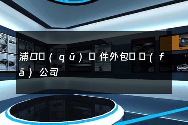 浦口區(qū)軟件外包開發(fā)公司