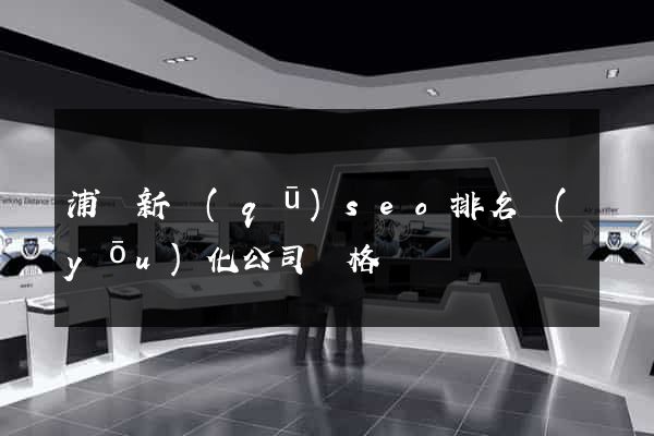 浦東新區(qū)seo排名優(yōu)化公司價格